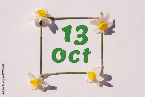 October 13th. Day of 13 month, calendar date. Frame from flowers of a narcissus on a light background, pattern. View from above. Summer month, day of the year concept
