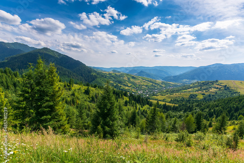 mountainous countryside landscape in summer. forested hill and grassy meadows on a warm sunny day. village in the distant valley beneath a sky with fluffy clouds. transcarpathian rural area