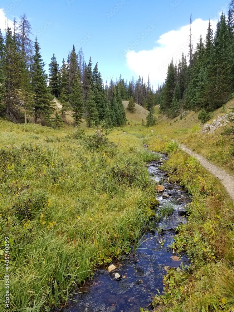 Obraz premium Colorado Mountain and Plateau Hiking Trail with Beautiful Grass and Forest