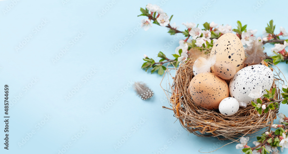 Easter eggs and cherry blossom Easter eggs and cherry blossom