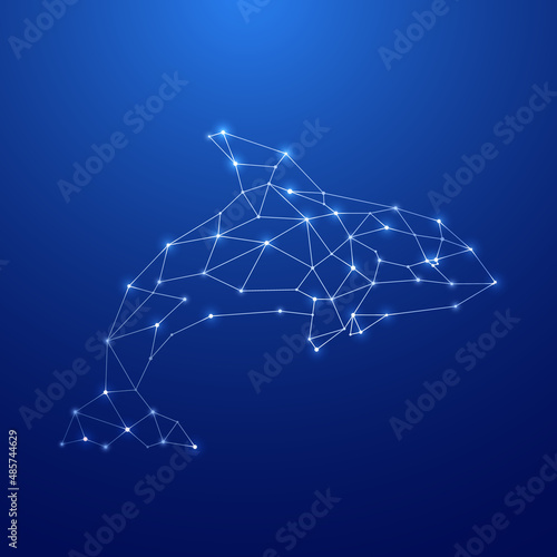 Geometric Orca silhouette. Image of Orca in the form of constellation on blue background. Vector illustration.