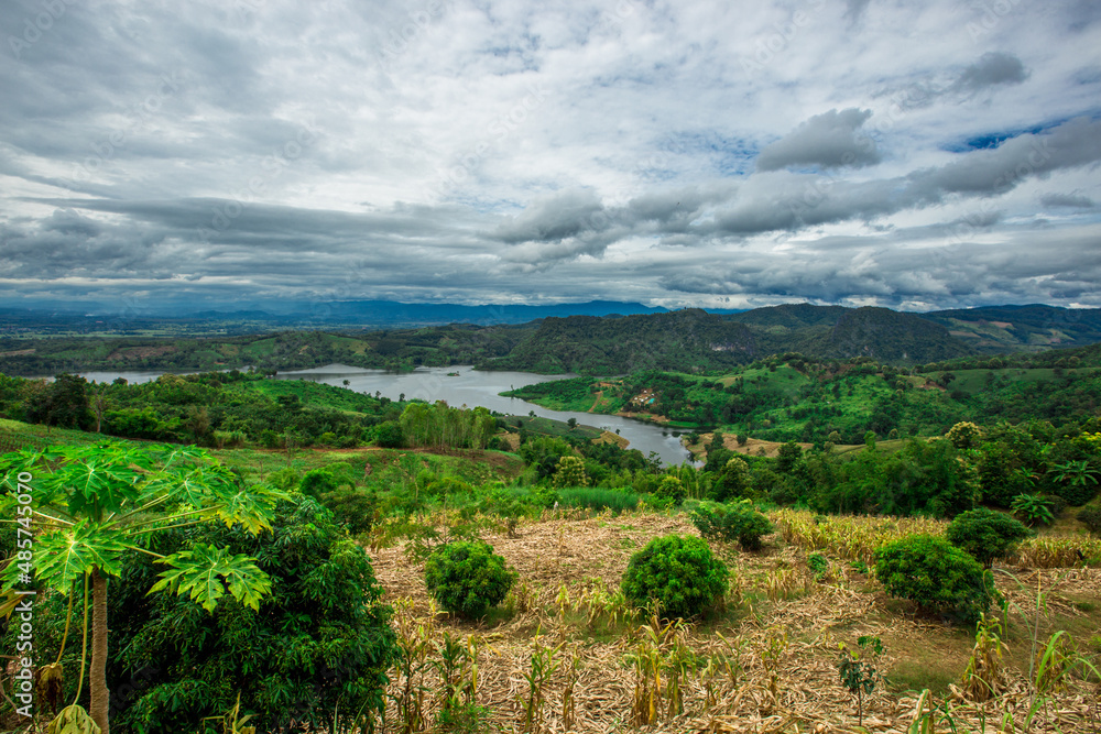 Obraz premium The close-up natural background of green rice fields, behind a large mountain and mist flowing through the blurred foliage, is a natural beauty seen in the countryside