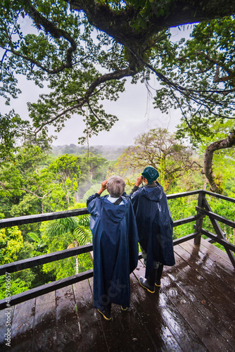 Bird watching in a 43m Kapok Tree tower viewing platform at Sacha Lodge, Coca, Amazon Rainforest, Ecuador, South America photo