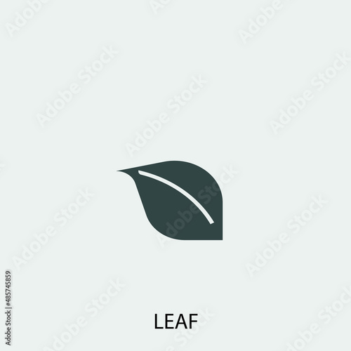 Leaf vector icon illustration sign