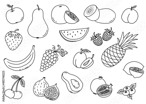 Illustration of fruits and berries on a white background. Hand drawn individual fruit elements. Coloring picture.  © Elly Miller