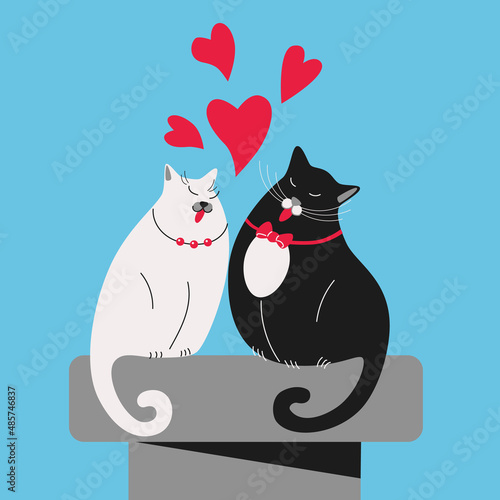 Cats on the roof sing a duet