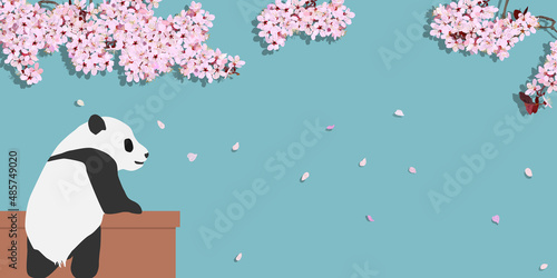 Child panda watching cherry blossoms. vector illustration, copy space, background banner, website, poster, flyer sign, ad, graphic, petals, frame