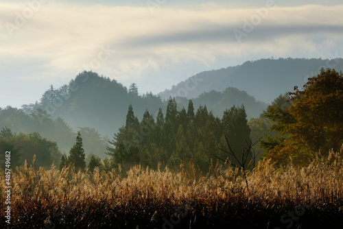 朝靄に霞む秋の森と山々