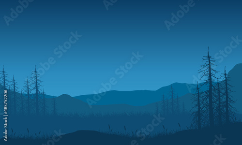 The aesthetic silhouette of mountain view with dry trees from forest edge at night