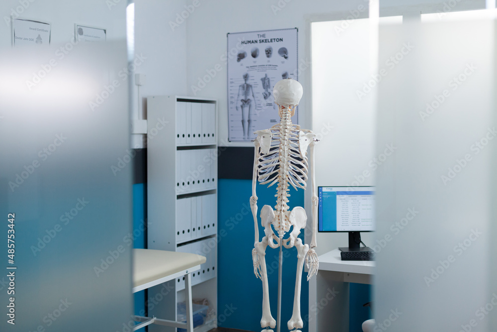Back view of on human body skeleton standing in empty hospital office during osteopathy consultation used as medical instrument. Doctor cabient equipped with backbone structure. Medicine concept Back view of on human body skeleton standing in empty hospital office during osteopathy consultation used as medical instrument. Doctor cabient equipped with backbone structure. Medicine concept