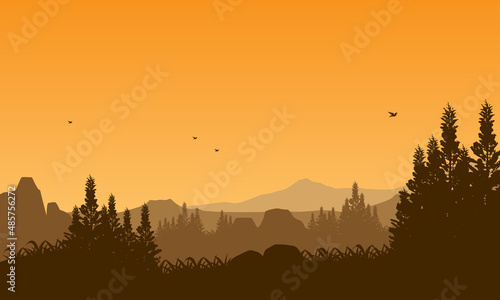 Magnificent mountain view with an aesthetic silhouette of pine trees from the village at dusk
