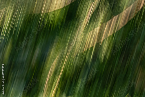 abstract wallpaper with lines 