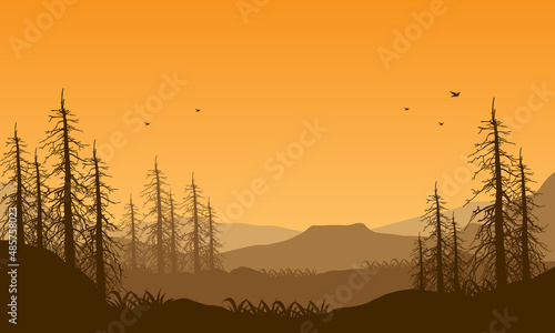 The beautiful view of the mountains at dusk with the aesthetic silhouette of dry trees