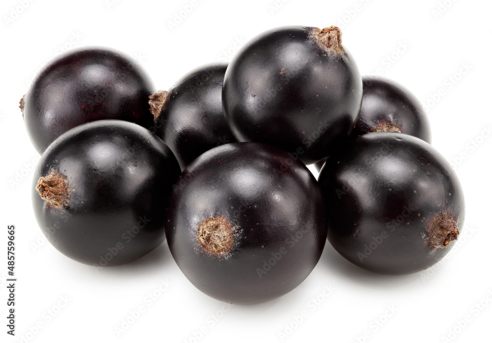 black currant isolated on white background. macro. clipping path black currant isolated on white background. macro. clipping path