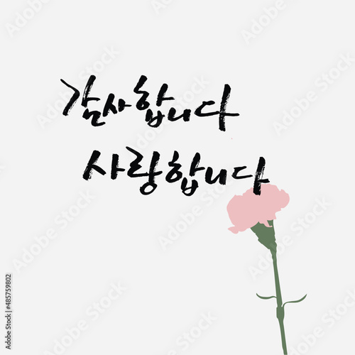 카네이션_감사합니다_캘리그라피