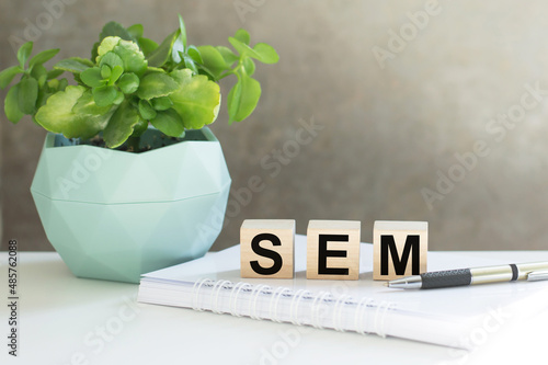 Word SEM is written on wooden cubes on the table next to a notepad, pen, potted plant