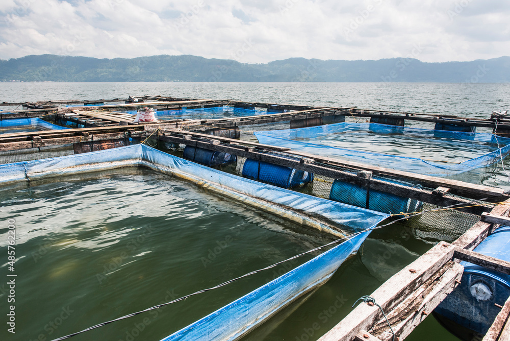 Fish farm in the middle of Lake Toba (Danau Toba), North Sumatra, Indonesia, Asia
