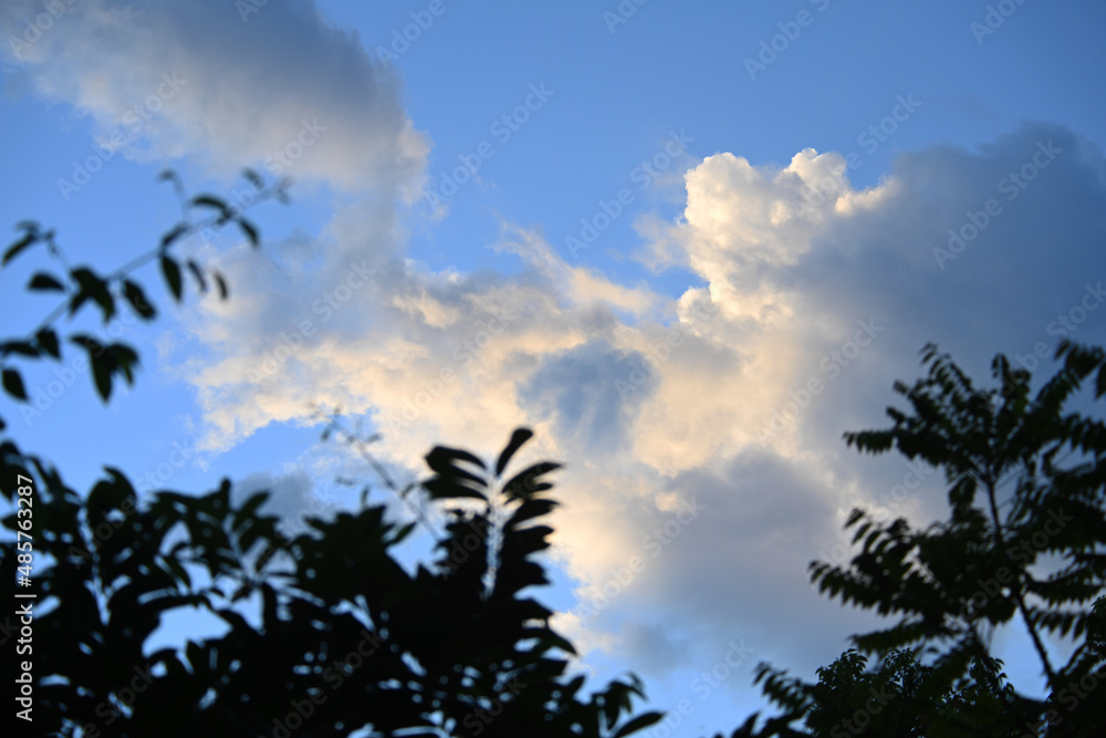 Obraz premium clouds and sky sunset time