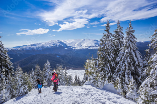 Ciucas mountains in winter, Romanian Carpathians. Fir trees and junipers full of frozen snow. There are hikers in the image.