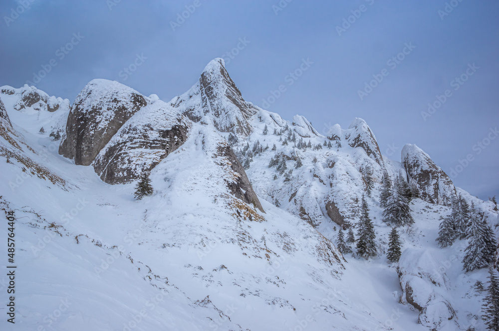 Ciucas mountains in winter, Romanian Carpathians. Fir trees and junipers full of frozen snow. 