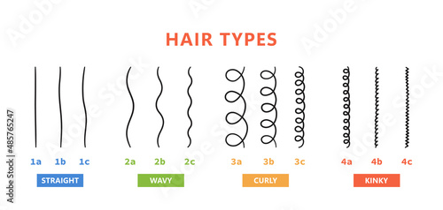 Classification of hair types - straight, wavy, curly, kinky. Scheme of different types of hair. Curly girl method. Vector illustration on white background. photo
