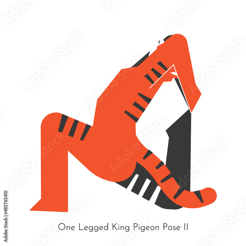 Vector isolated concept with cartoon animal learning yoga practice - Eka Pada Rajakapotasana 2. Asian tiger does one legged king pigeon pose II. Simplified flat illustration of stretching exercise
