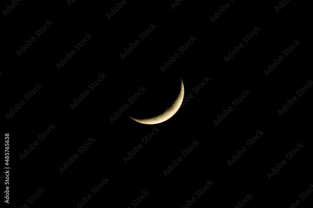 moon in the night moon in the night