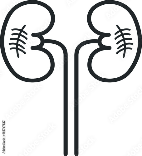 Kidney Dialysis line icon vector, Urology logo design