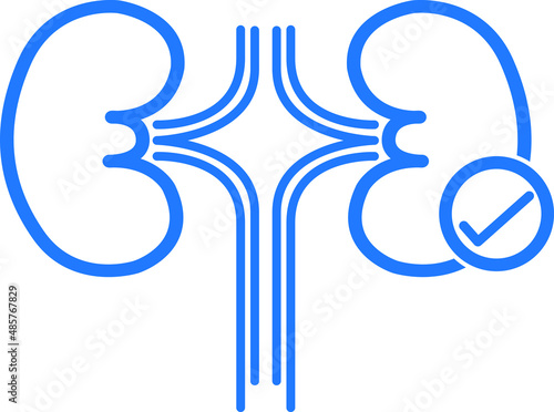 kidney dialysis line icon blue