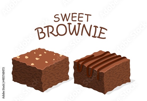 chocolate brownie isolated on white background. 