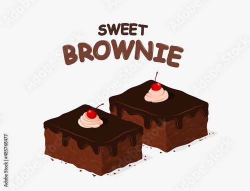 chocolate brownie isolated on white background. 