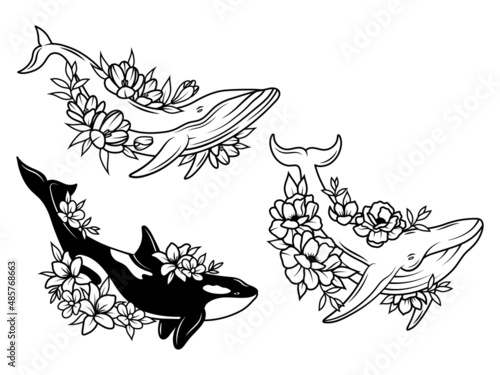 Set of floral whale. Collection of different whale and orca with flower wreath. Zoological. Sea creature. Vector illustration  of ocean mammals.