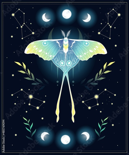 Magic vector illustration of moon moth in green colors. For print for T-shirts and bags, decor element. Mystical and magical, astrology illustration