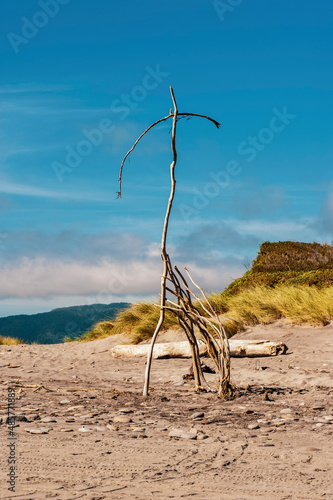 Driftwood Art Sculpture on Ross Beach, West Coast, South Island, New Zealand