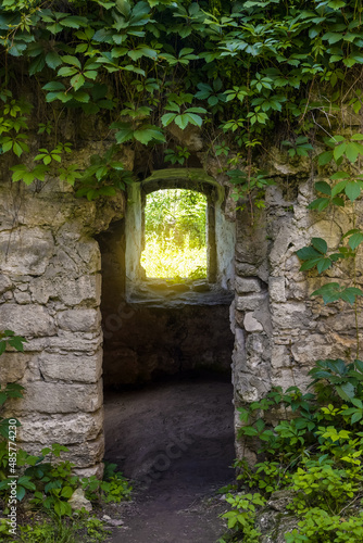 Entrance to ancient dilapidated building  overgrown with creeping wild grapes. View through door to window. Masonry from natural stone. Selective focus.