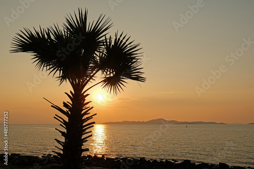 Beautiful tropical orange sunset at sea with palm in Thailand