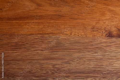 Light brown surface of old knotted wood with natural color, texture and pattern