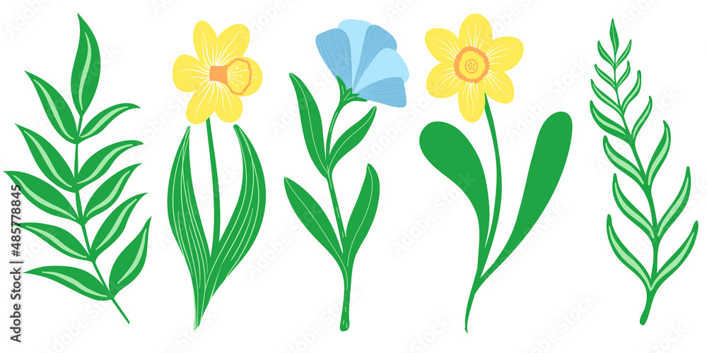 Fototapeta premium Simple spring hand drawn flowers set