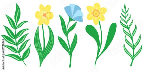 Simple spring hand drawn flowers set