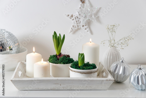 Unblown hyacinths with burning candles on a wooden vintage tray. Palm tree shadow on the wall. Home decoration for spring
