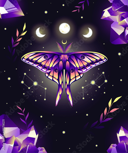Magic vector illustration of moon moth in purple colors. For print for T-shirts and bags, decor element. Mystical and magical, astrology illustration