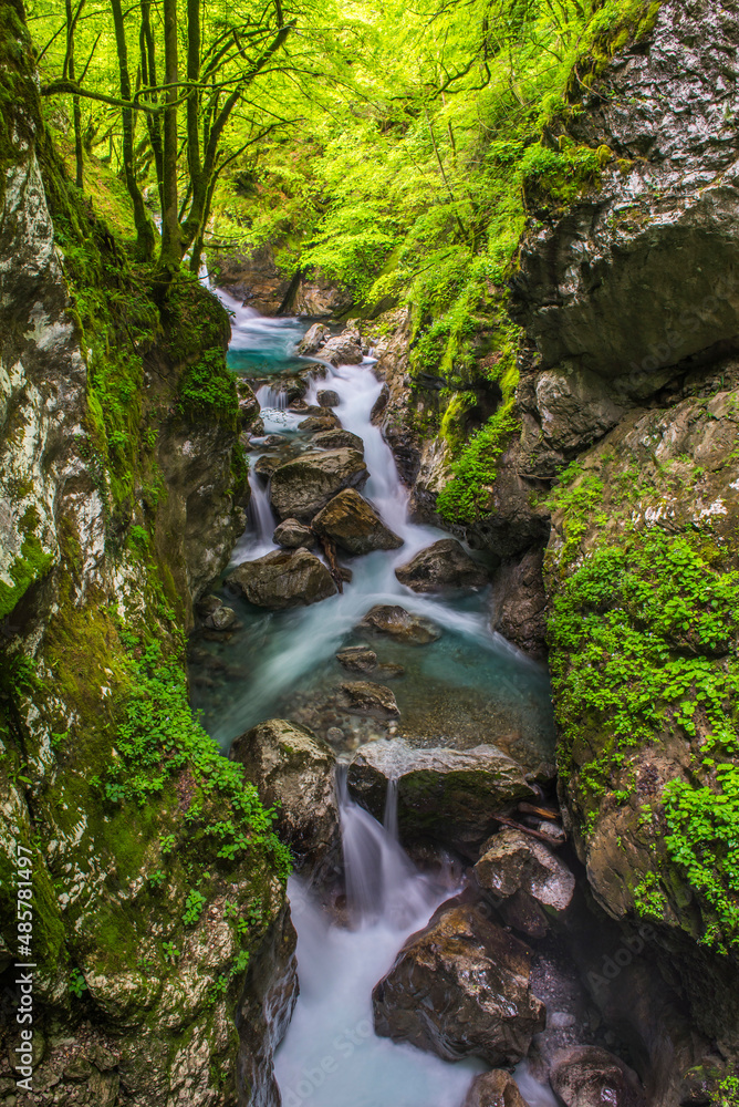 Zadlascica River Canyon, Tolmin Gorges, Triglav National Park ...