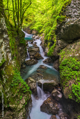 Zadlascica River Canyon, Tolmin Gorges, Triglav National Park (Triglavski Narodni Park), Slovenia, Europe photo