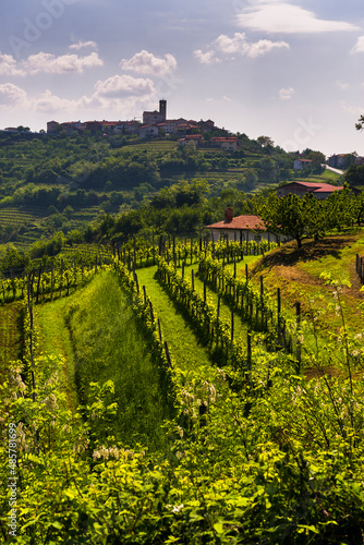 Vineyards and St Martin Church perched above the hill top town of Smartno in Goriska Brda, the wine region of Slovenia, Europe