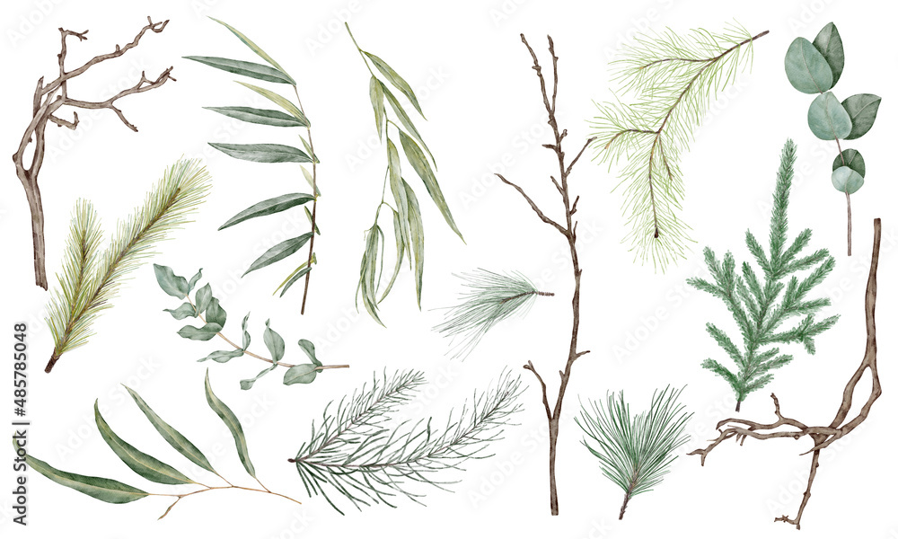 Christmas set of branches and leaves Christmas set of branches and leaves