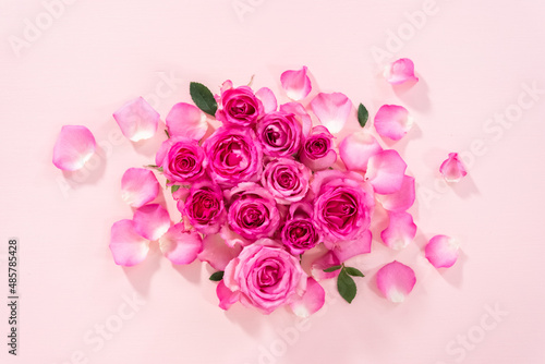 Pink roses