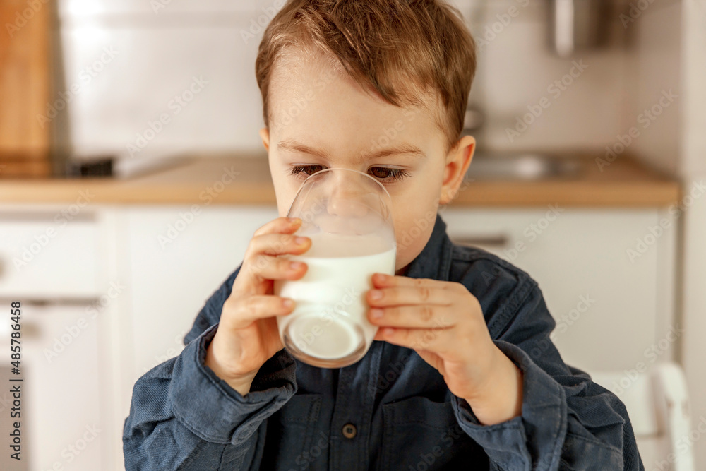 Little boy sitting in the kitchen and drinking milk. Fresh milk in glass, dairy healthy drink. Healthcare, source of calcium, lactose. Cozy and modern interior. Preschool child with casual clothing. Little boy sitting in the kitchen and drinking milk. Fresh milk in glass, dairy healthy drink. Healthcare, source of calcium, lactose. Cozy and modern interior. Preschool child with casual clothing.
