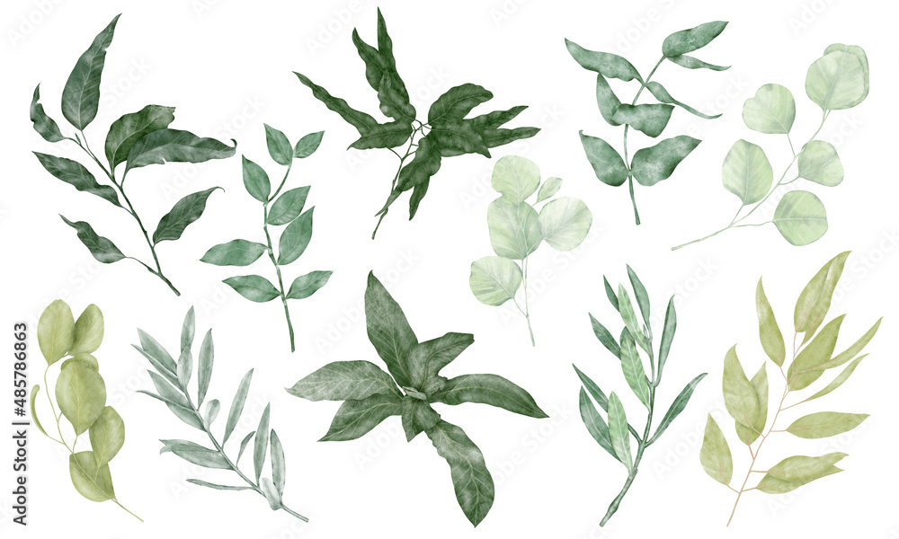 Set of green leaves of different shapes
