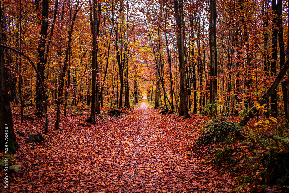 Naklejka premium defaut