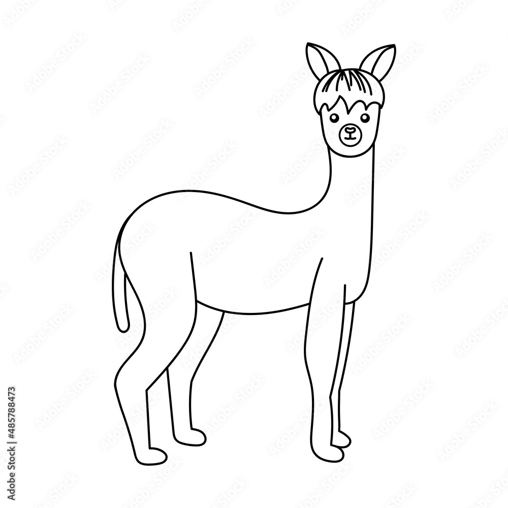 Alpaca outline vector icon. Thin line black alpaca icon, isolated on white background